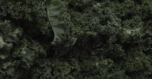 Screen-Shot-2015-02-15-at-3.26.14-PM-1038x546